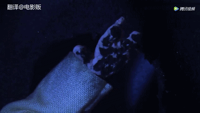 密集恐惧症们,听我一句劝,不要拿生命看这片丨毒药推荐