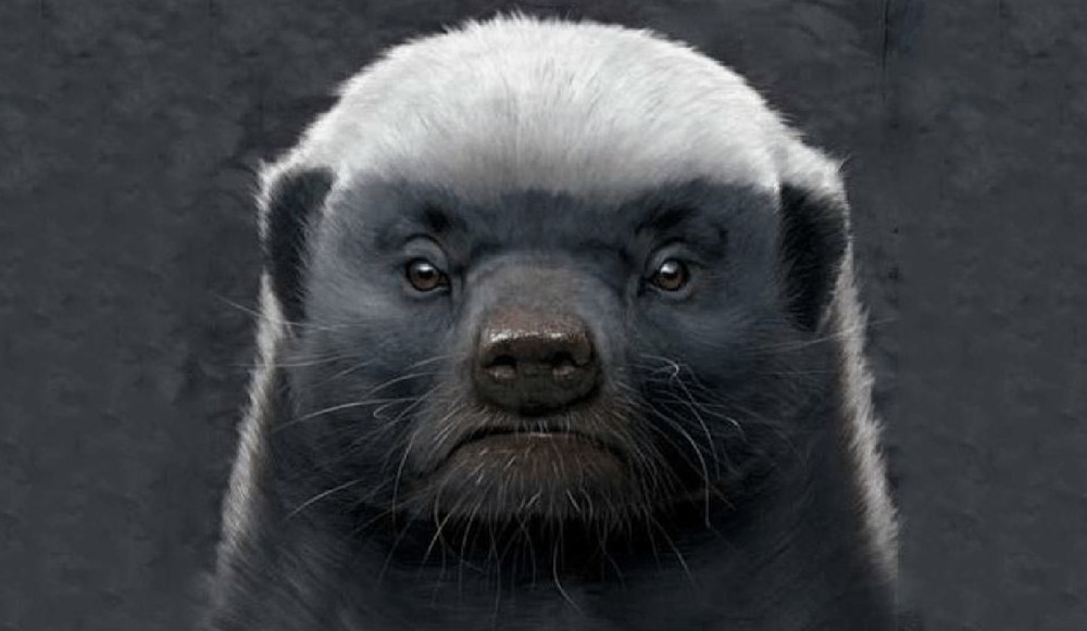 有一种不一样的动物,生死看淡不服就干,经常反