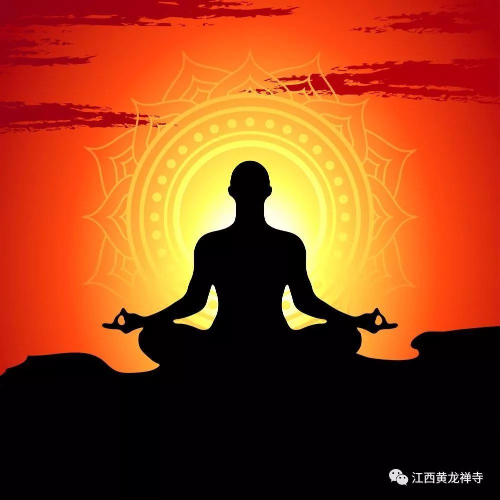 震惊世界的生命科学电影《禅坐的真相》