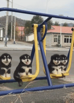 风大雨大冷死了!我在新加坡冻成狗