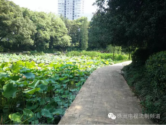看天下：男子与7女谈爱 儿子称总和不同妈妈睡