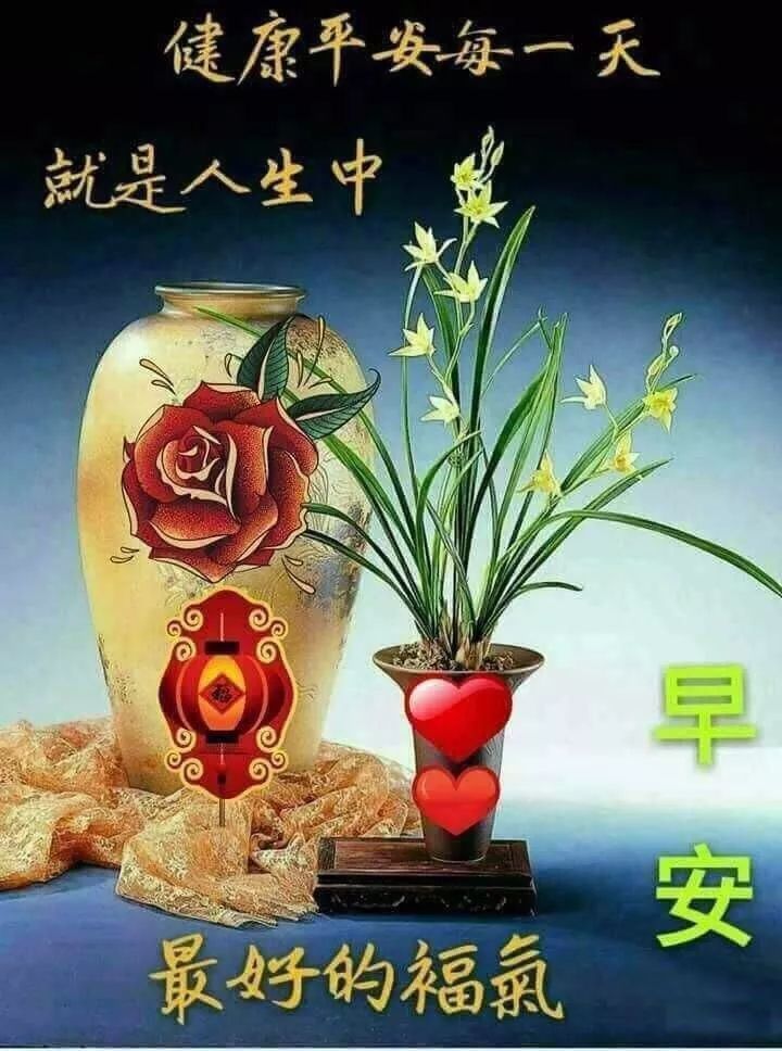 每天早上好问候语及关心话 早上好祝福问候语