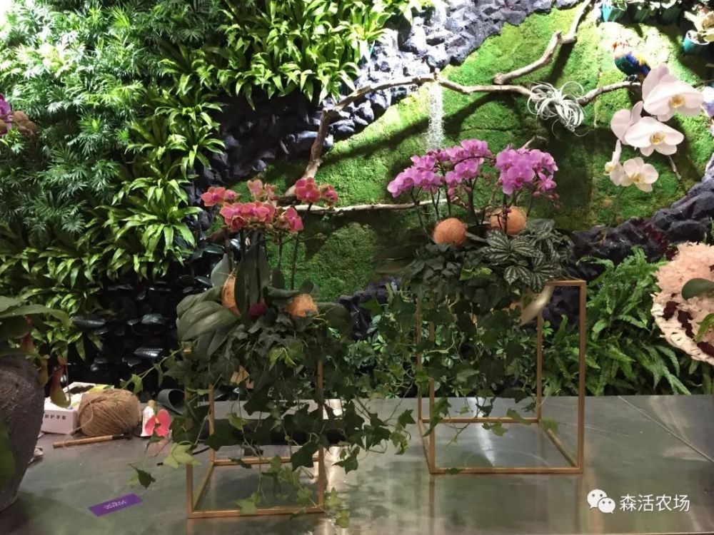 第十九届中国昆明国际花卉展:七巧创意花集展会回顾