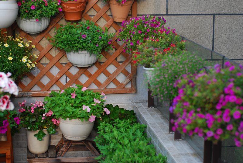 台造花园,网友直呼:没买带露台的房子 后悔死