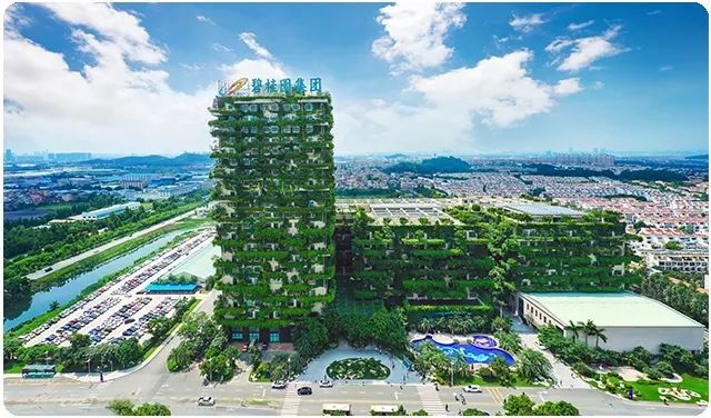 碧桂园：500强不是终点，社会创新才是起点(图3)