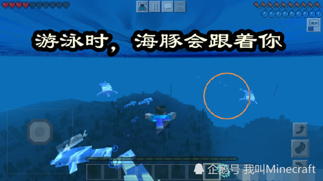 我的世界 海洋版必学的5个游泳小技巧 如何让海豚跟着你 三叉戟堪称神器 看点快报