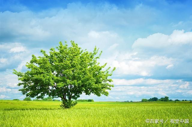 奋斗者的人生 别无选择 稻盛和夫关于活着的价