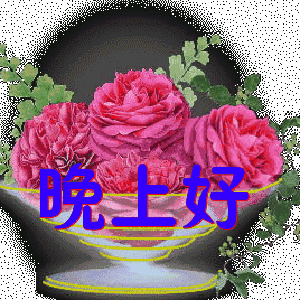 晚上好,好运祝福送给你,愿你好人好梦!永远快乐!