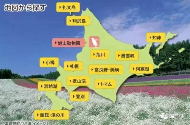 吐血整理 北海道之旅精华集锦 每一处都不可错过 看点快报