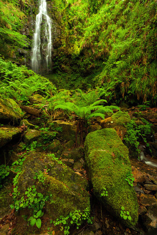 李嘉诚经典语录,句句是智慧,成功是这样养成的