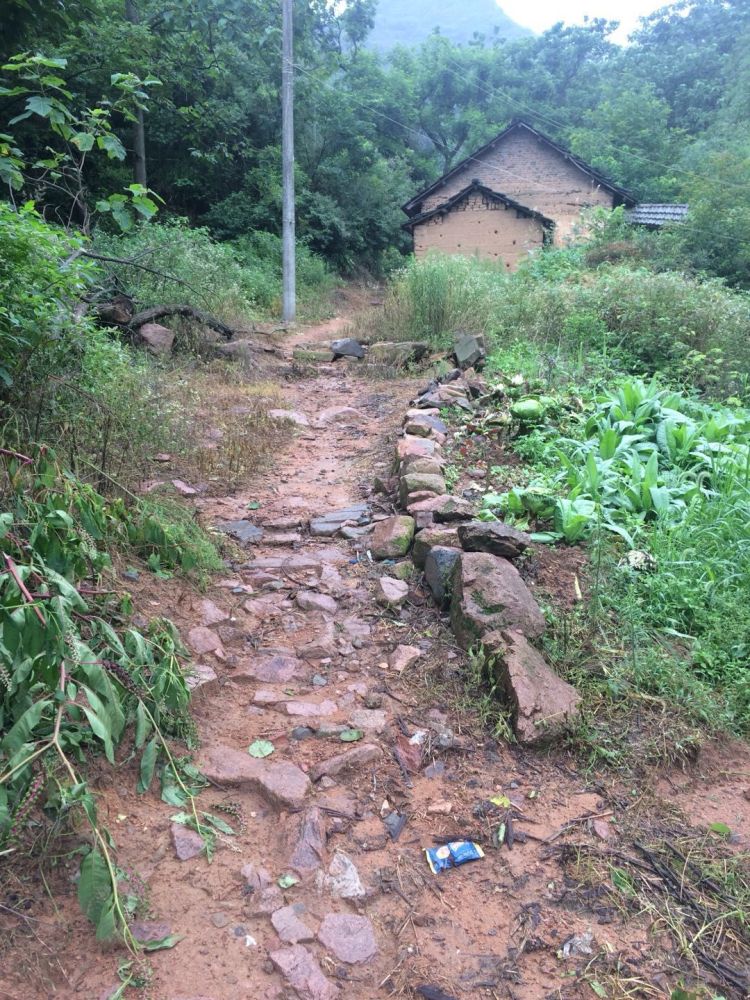 农家小院