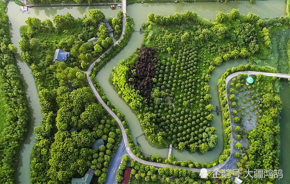 史诗40年·聚焦泰州:天空之眼鸟瞰泰州姜堰溱湖绿洲"天然氧吧"