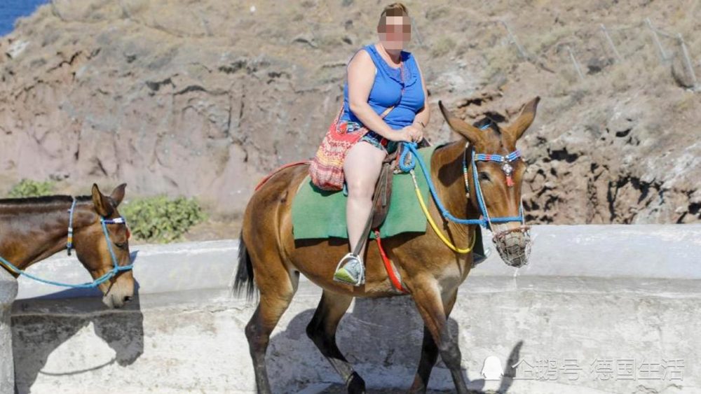 希腊圣托里尼毛驴不堪重负,以后骑驴或要限制游客体重