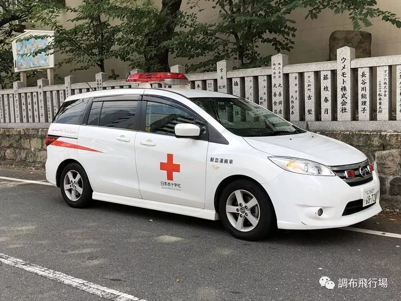 老鼠掉進大米缸 看点快报