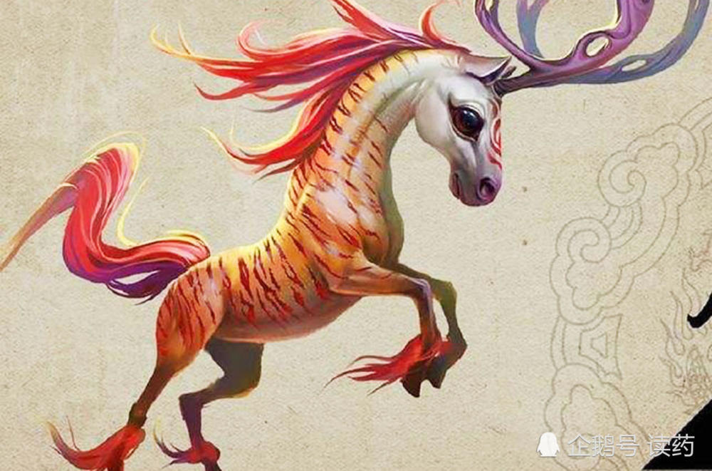 《山海经》像马的上古神兽,现实中有原型,皮毛有神奇功能