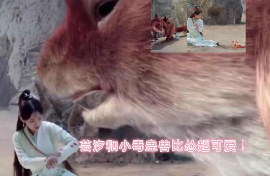 韩芸汐鞠婧祎发文与小毒蛊兽比怂超可爱!网友