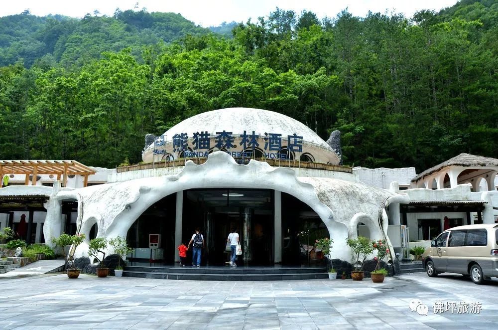 熊猫森林酒店