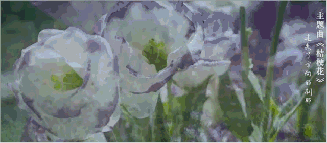 梗花再开 青春且归来——评微电影《桔梗花开》