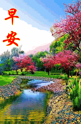 美好的一天从我的问候开始,2019最新漂亮群发早上好问候表情动态图片