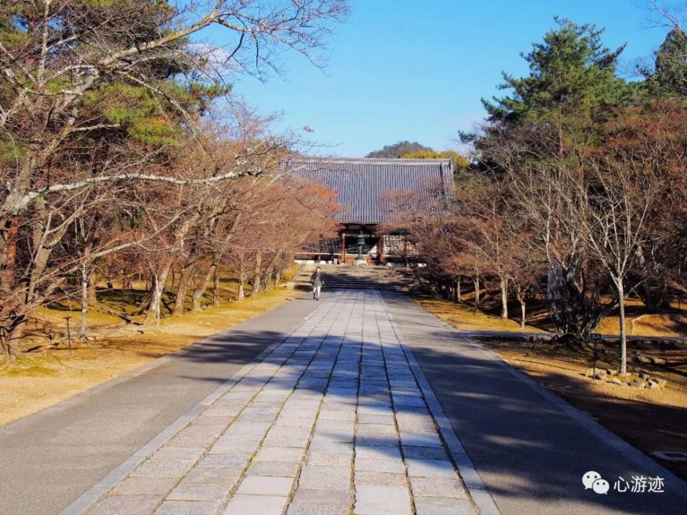 亚洲日本国京都市御室仁和寺 看点快报