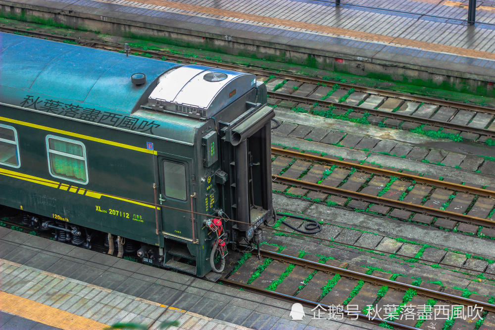 重庆里长江中 那再也回不去没有珊瑚的珊瑚坝 看点快报