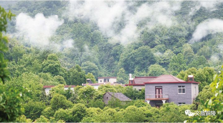农林村 腾讯网