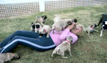 腾讯内容开放平台