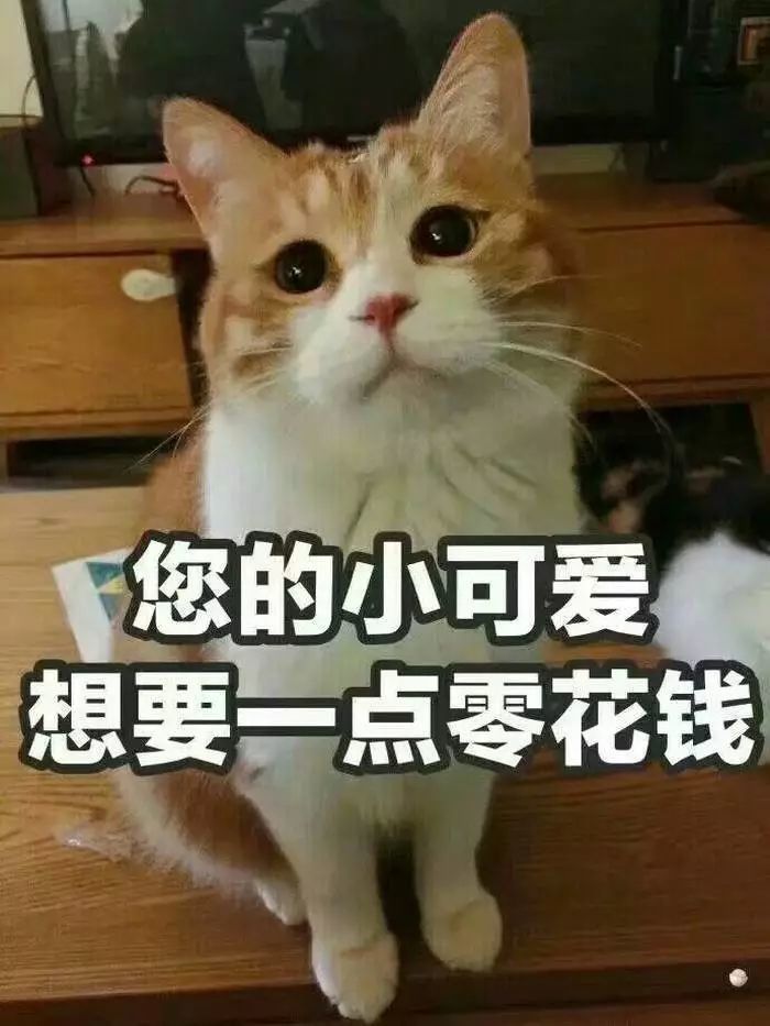 哭穷卖惨要钱专用!