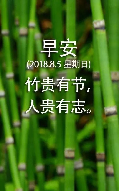 2,只懂道理不懂事,这就是凡夫.既不懂事,更不懂道理,异类也.