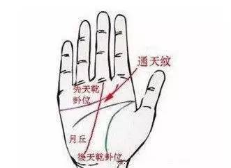 古人总结的观面相手相口诀:手有通天纹的人简直不得了
