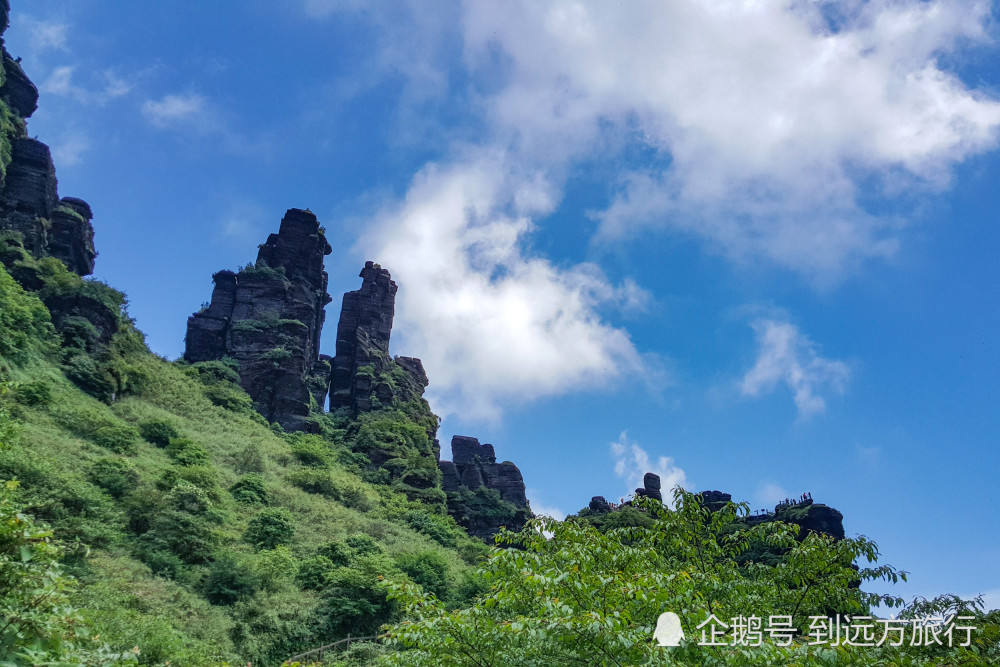 隐藏在贵州大山里的奇峰,神奇梵净山,来过的游客都想再来