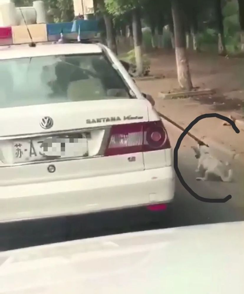 铜山有多少人口