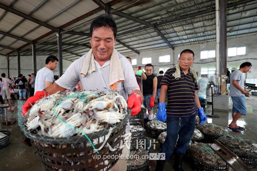 8月6日,渔民在连云港市赣榆海头港海产品交易市场展示捕获的梭子蟹.