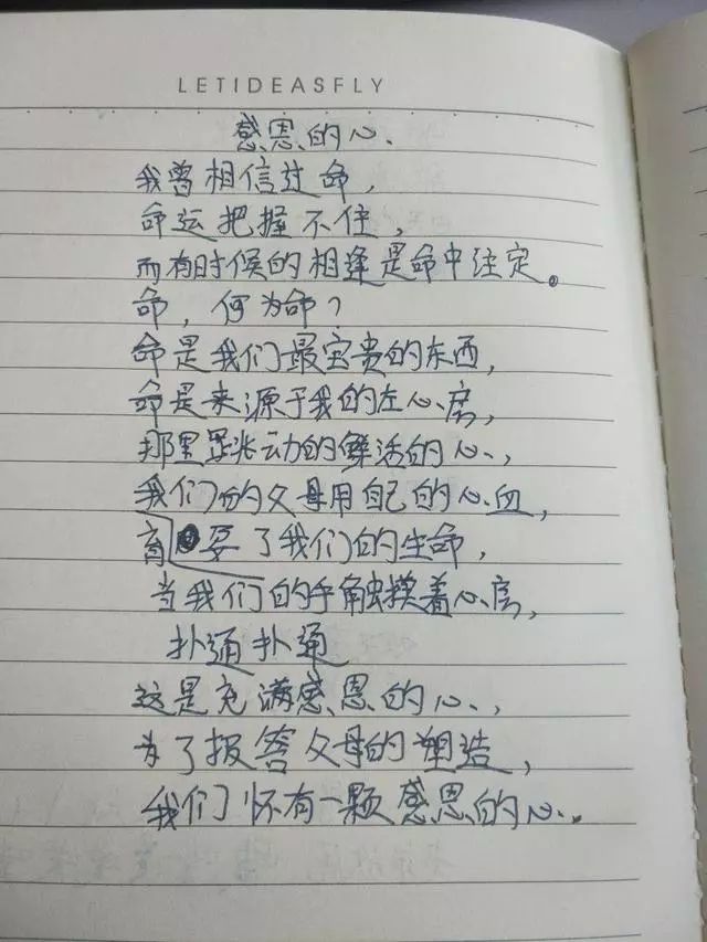 小学生优美散文诗,具有文艺范,老师看后满意极了,家长