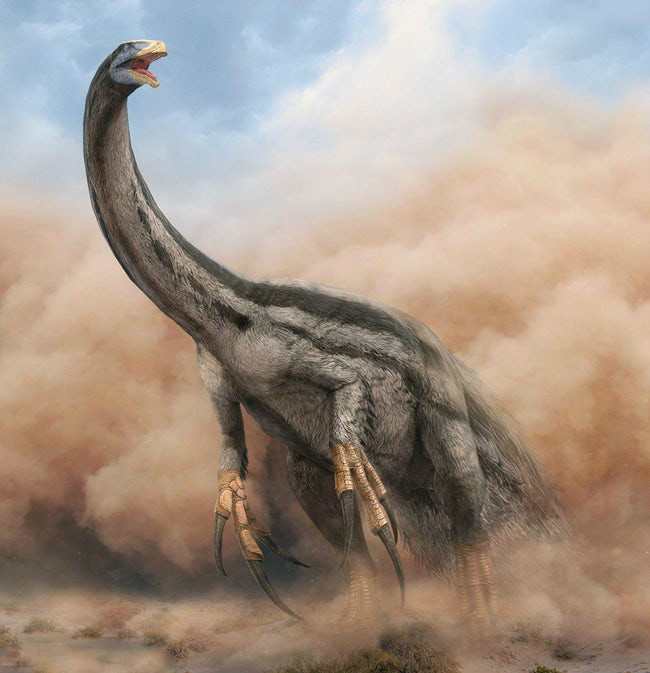 史前最恐怖的5种恐龙,有的有强壮的后腿,有的有锋利的