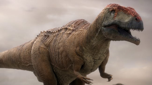 由于一系列电影包括侏罗纪公园等作品中将它描述的特别凶猛,因此许多