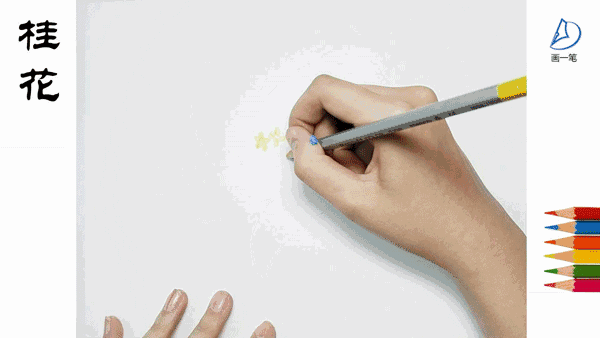 水彩画:画画识花卉,八月桂花香