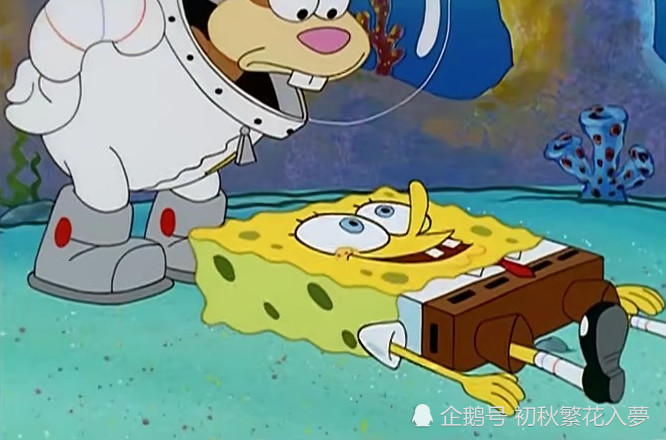 海绵宝宝的好朋友之一珊迪,全名也就是叫珊迪奇克斯,它的身份可一点都