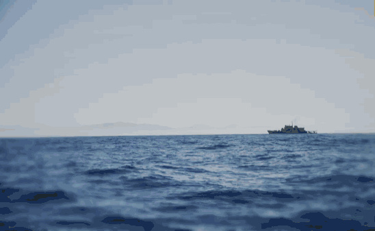 吃海鱼新鲜更健康