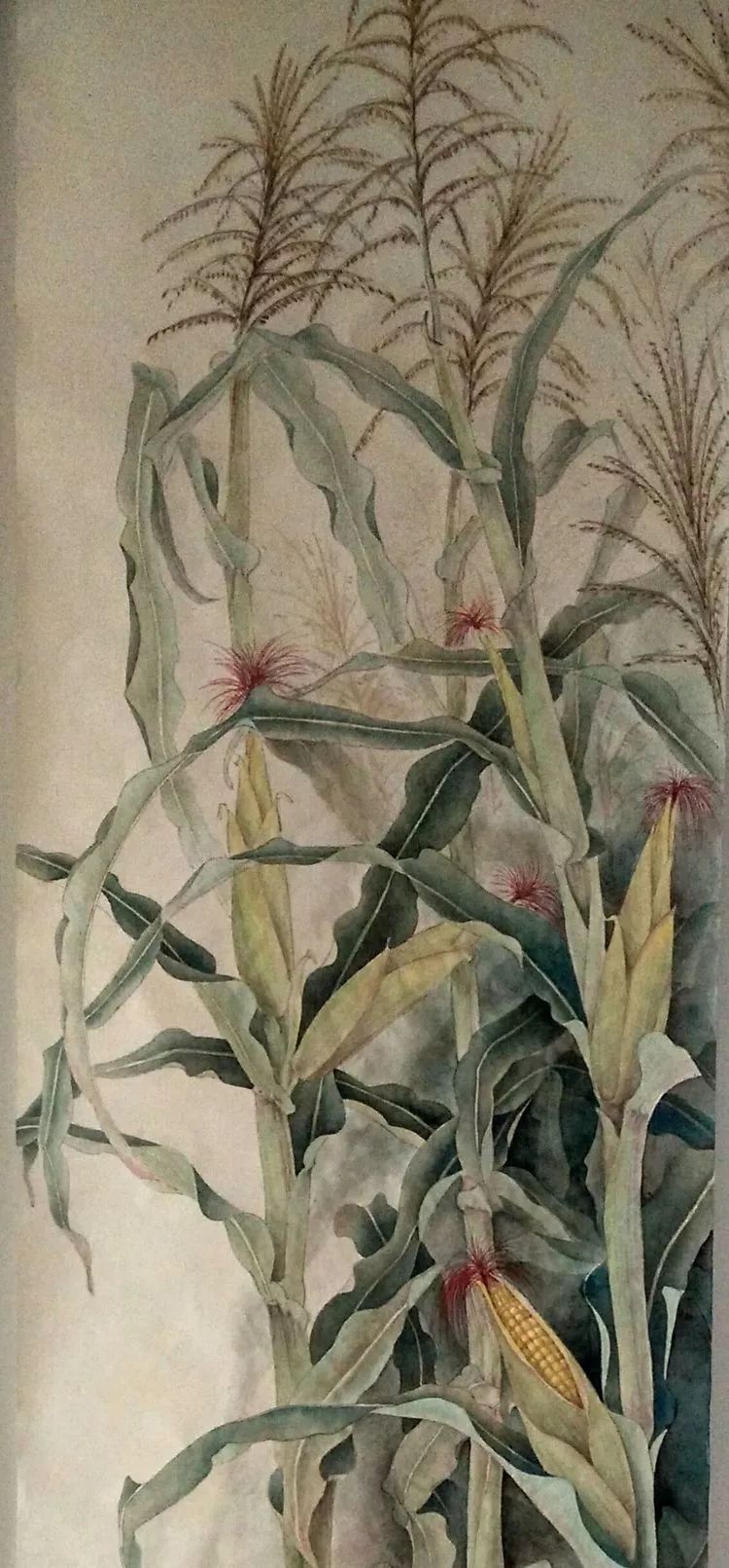 陈松岩,号乐仙,70年,副教授,自幼喜画,后自学工笔,无师无门派,不参加