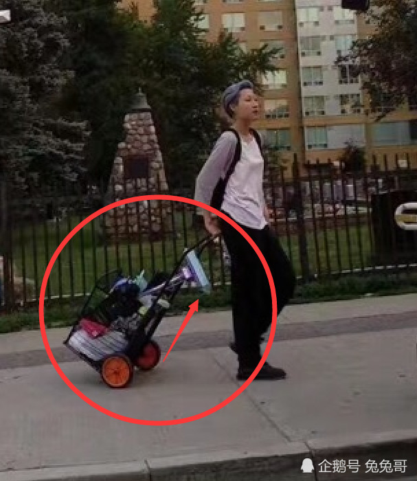 吴卓林被曝在加拿大捡垃圾度日,知情人还原真