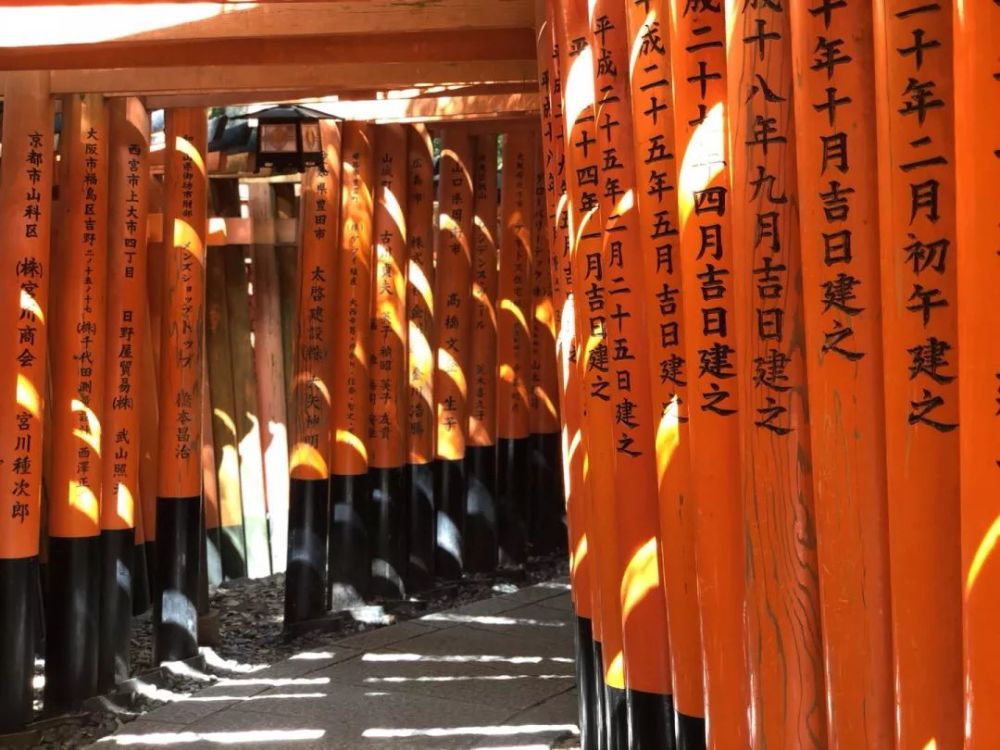 日本行之关西篇 看点快报