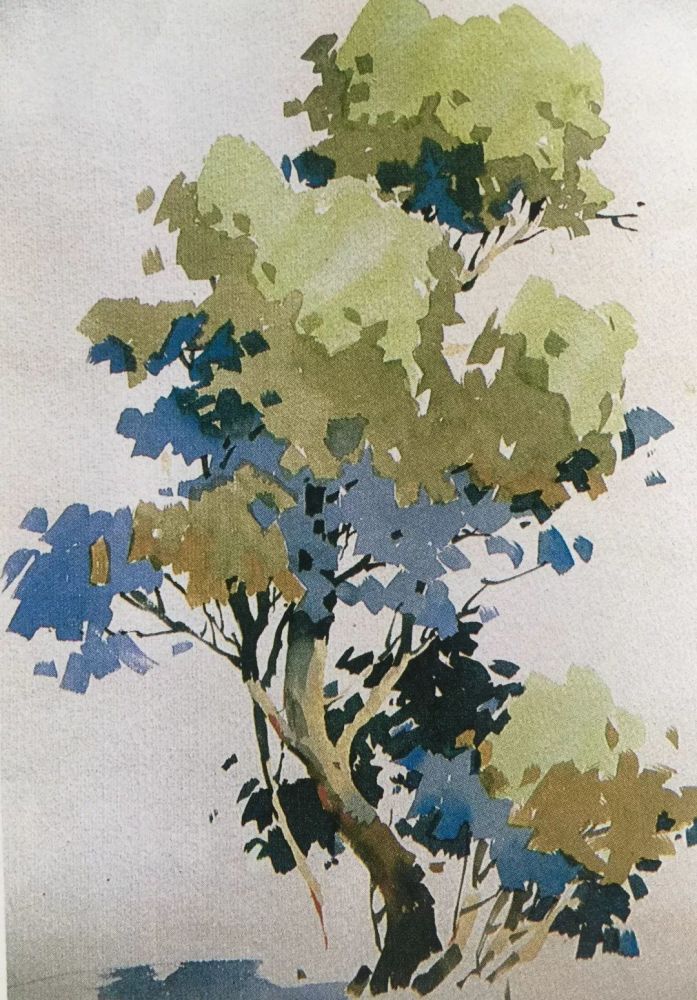 如上图先画出有明暗的树干再用背景衬托. 03 三,树冠