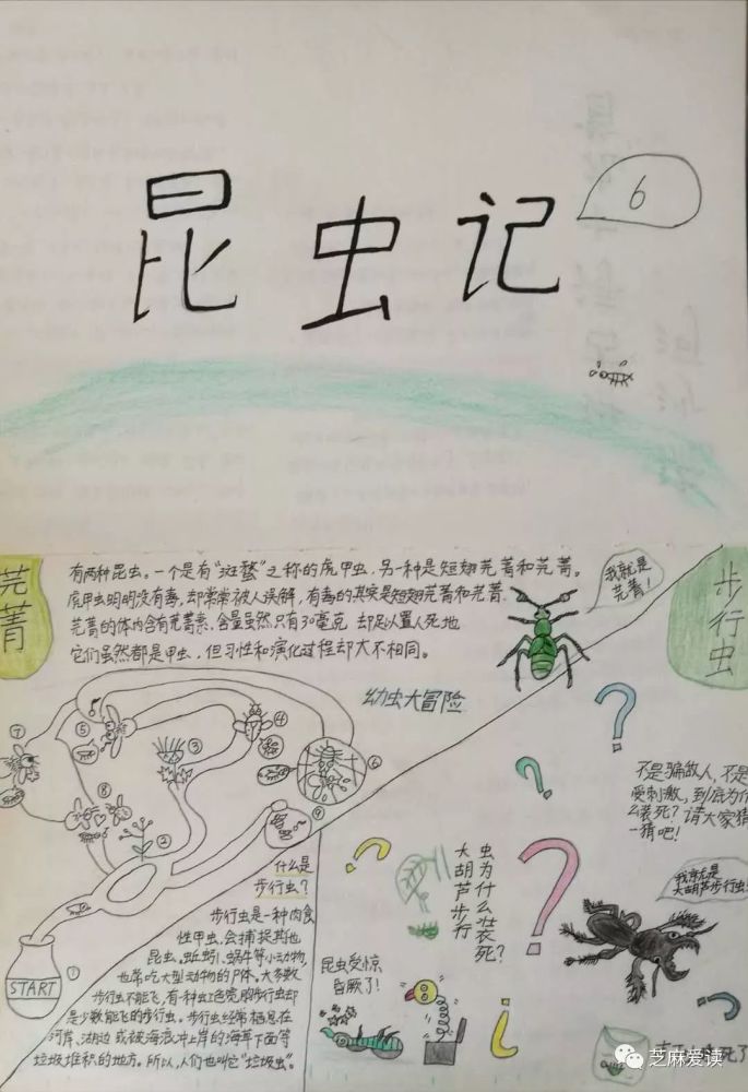 图为阅读《穿堂风》之后,女儿整理的阅读小报,精彩句子摘抄是我帮了忙