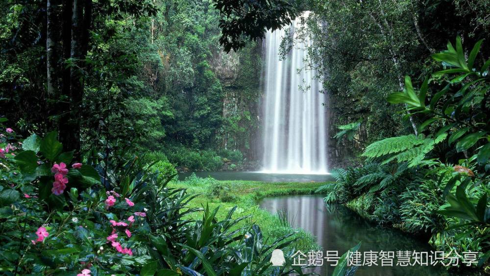 生肖属蛇之人不管是在什么时候都是最幸运的那个生肖也不管是在什么