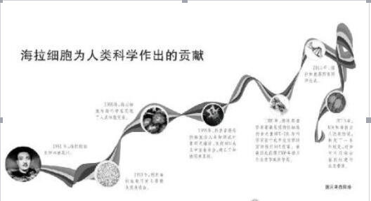 永生不死的海拉细胞 可能会圆了人类长生不老梦 看点快报