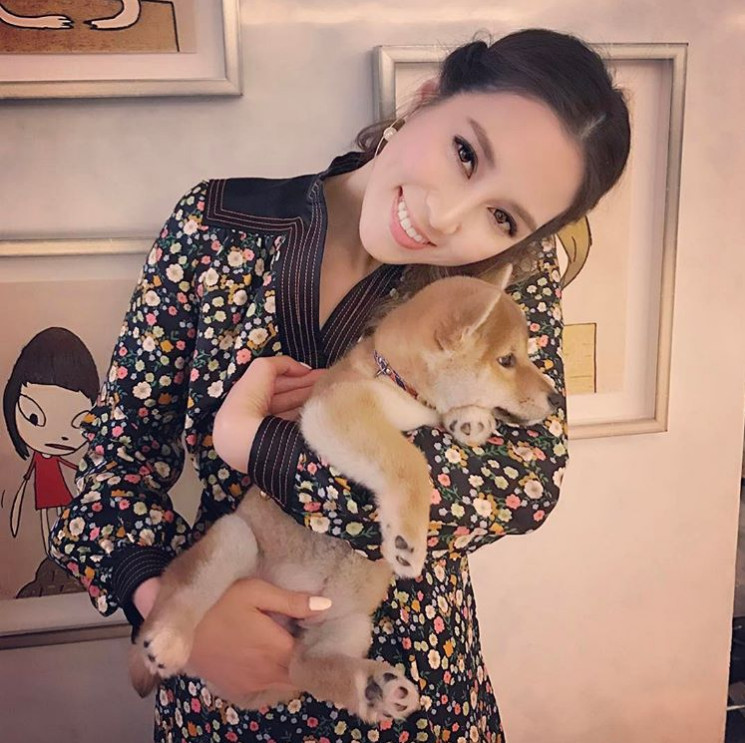 徐子淇家中再添新成员，二十万背包变宠物包，阿拉斯加一脸呆萌，网友：狗狗比较可爱