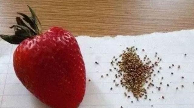 吃猕猴桃扎嘴,吃山竹太苦,吃甘蔗嗓子疼,是我打