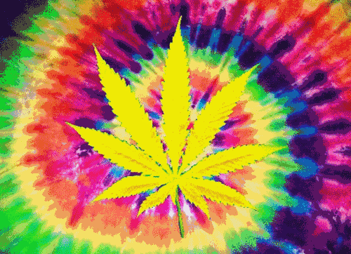 国际老年人日:当你老了,你想用医疗大麻么?