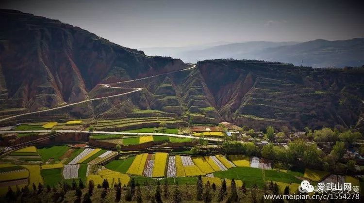 武山县城人最佳的避暑线路—榆盘镇